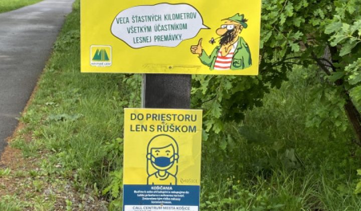 10. fotografia fotogalérie Lesopark