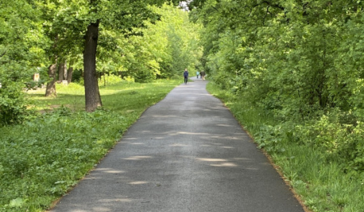 11. fotografia fotogalérie Lesopark