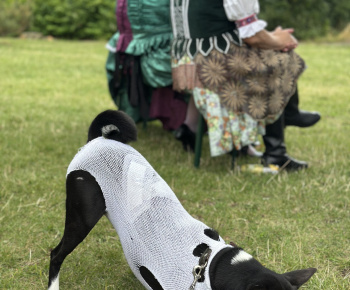 Aktuality / Koncert pre Furčanov spojil tradície, folklór aj modernú hudbu - foto Aktuality / Koncert pre Furčanov spojil tradície, folklór aj modernú hudbu - foto