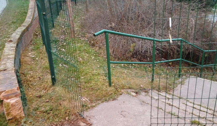 2. fotografia fotogalérie Aktuality / Hľadá sa  - foto