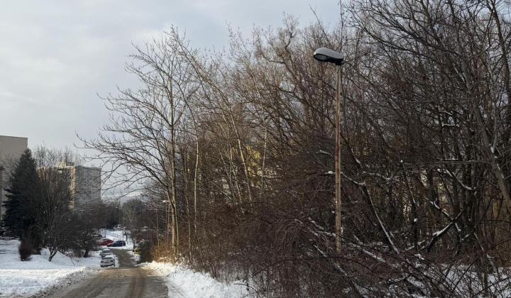 2. fotografia fotogalérie Aktuality / nový článok - foto