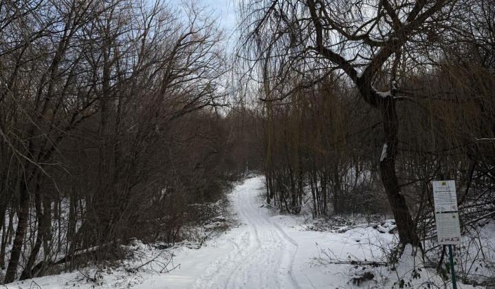 3. fotografia fotogalérie Aktuality / nový článok - foto