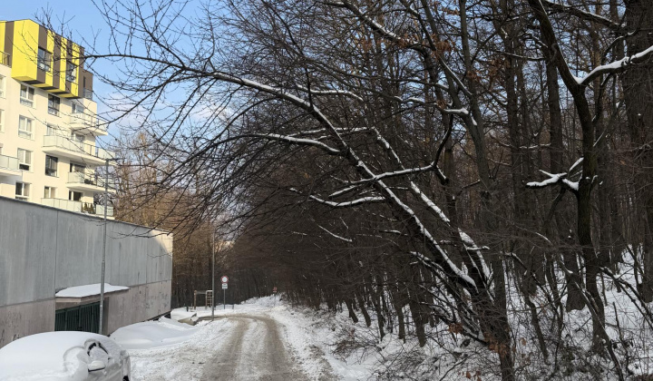 4. fotografia fotogalérie Aktuality / nový článok - foto