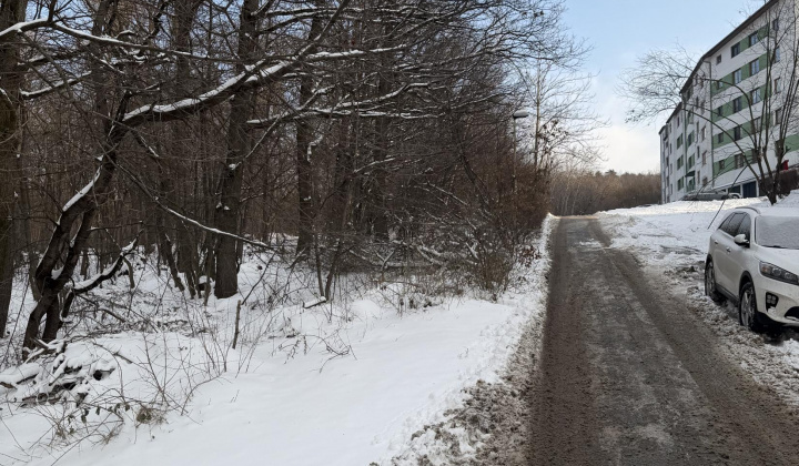 1. fotografia fotogalérie Aktuality / nový článok - foto