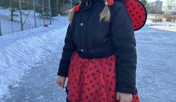 1. fotografia fotogalérie Aktuality / Furčiansky karneval na ľade sa vydaril - foto