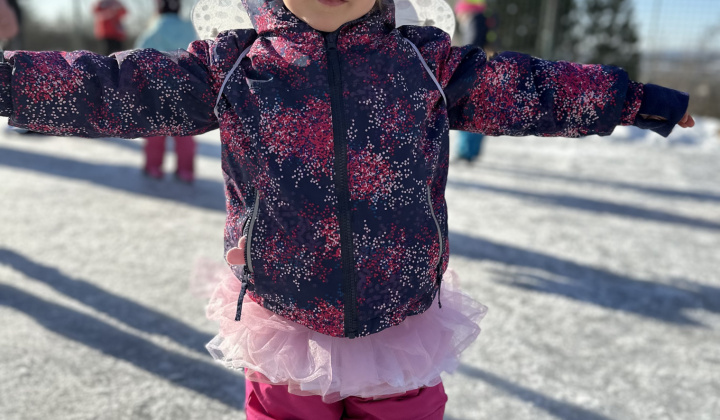 18. fotografia fotogalérie Aktuality / Furčiansky karneval na ľade sa vydaril - foto