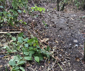 Aktuality / Ďalšie zlikvidované nelegálne miesto na Furči - foto Aktuality / Ďalšie zlikvidované nelegálne miesto na Furči - foto