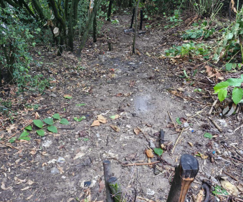 Aktuality / Ďalšie zlikvidované nelegálne miesto na Furči - foto Aktuality / Ďalšie zlikvidované nelegálne miesto na Furči - foto