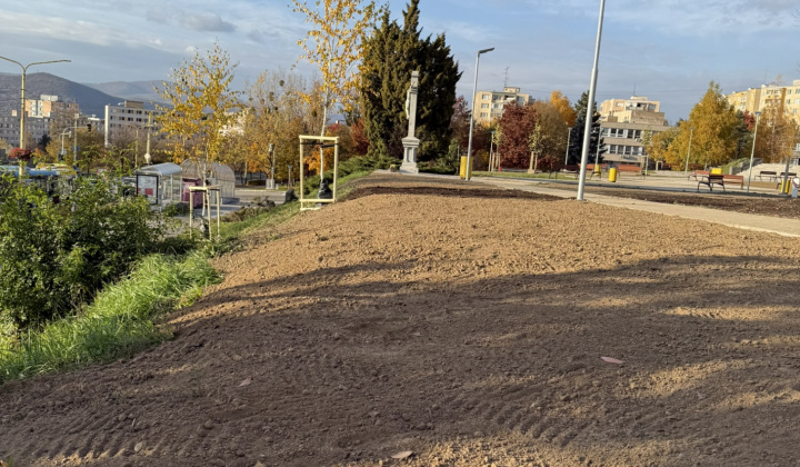1. fotografia fotogalérie Projekty MČ z externých zdrojov / Revitalizácia zelene v parku Maršala Koneva. Výzva: ID/2024 – Životné prostredie (ID/258/2024) - foto
