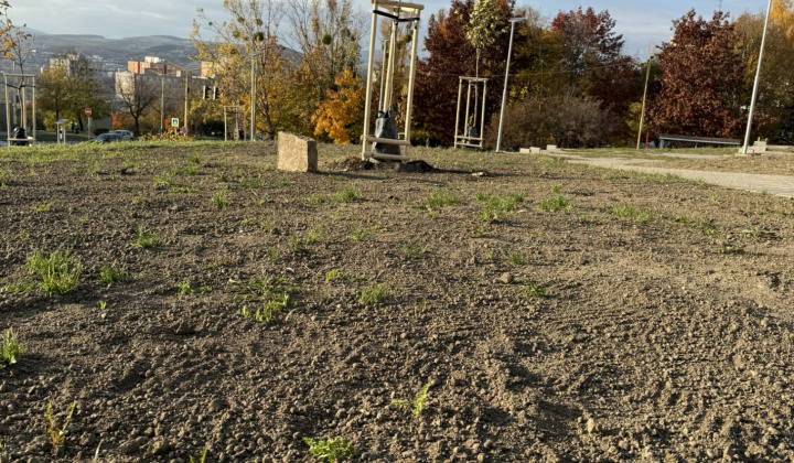 2. fotografia fotogalérie Projekty MČ z externých zdrojov / Revitalizácia zelene v parku Maršala Koneva. Výzva: ID/2024 – Životné prostredie (ID/258/2024) - foto