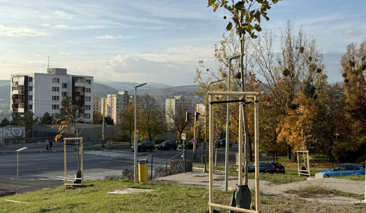 4. fotografia fotogalérie Projekty MČ z externých zdrojov / Revitalizácia zelene v parku Maršala Koneva. Výzva: ID/2024 – Životné prostredie (ID/258/2024) - foto