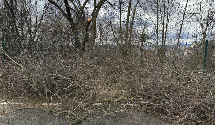 12. fotografia fotogalérie Aktuality /  Detské dopravné ihrisko je otvorené - foto