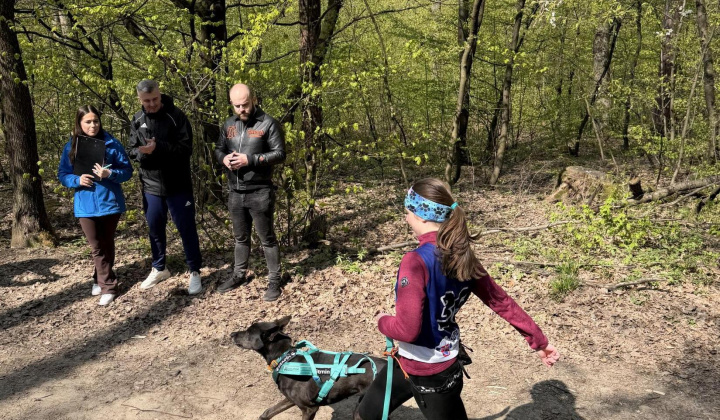 4. fotografia fotogalérie Aktuality / Bosorkin canicross opäť ožil energiou, radosťou a pohybom - foto