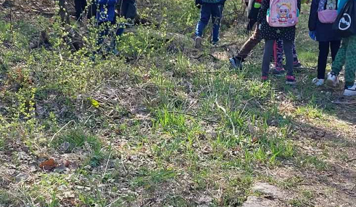 21. fotografia fotogalérie Aktuality / Do jarného upratovania sa zapojili furčianske škôlky, školy aj stredné školy - foto
