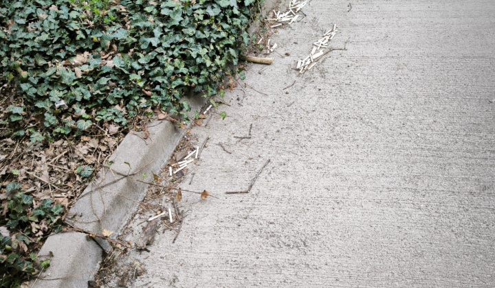 34. fotografia fotogalérie Aktuality / Do jarného upratovania sa zapojili furčianske škôlky, školy aj stredné školy - foto