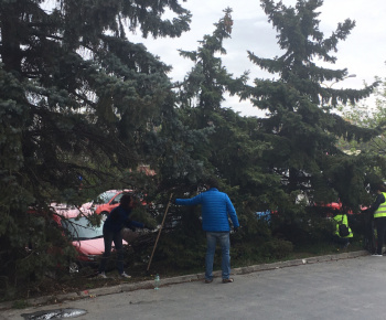 Aktuality / Zamestnanci miestneho úradu a firmy Labaš upratovali na Furči - foto