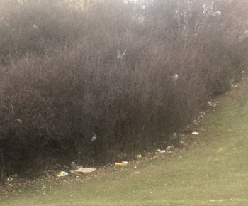 Aktuality / Jarné upratovanie zmenilo niektoré lokality na Furči na nepoznanie - foto