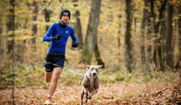 Fotka - Druhé jesenné kolo Bosorkinho canicrossu